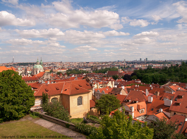 Across Prague from Castle Picture Board by Sally Wallis