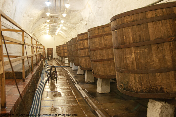 Barrels in Pilsen Brewery Picture Board by Sally Wallis
