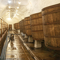 Buy canvas prints of Barrels in Pilsen Brewery by Sally Wallis