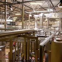 Buy canvas prints of View across Pilsen Brewery packing area by Sally Wallis