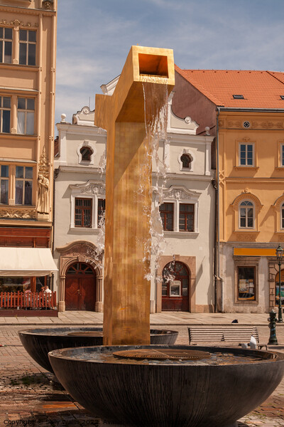 Fountain in Pilsen, Czech Republic Picture Board by Sally Wallis