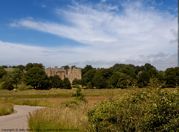 Glimpse of Bodiam Castle across the valley of the River Rother Picture Board by Sally Wallis