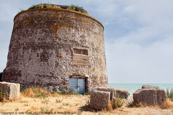 Martello Tower - Old fortification on beach near Eastbourne Picture Board by Sally Wallis