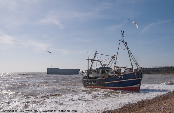 Fishing boat coming towards the shore at Hastings Picture Board by Sally Wallis