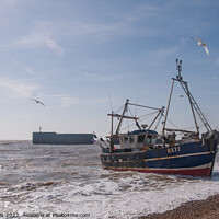 Buy canvas prints of Fishing boat coming towards the shore at Hastings by Sally Wallis