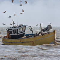 Buy canvas prints of gulls follow incoming fishing boat by Sally Wallis