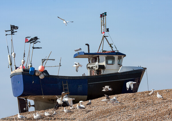 Fishing boat high up shingle bank Picture Board by Sally Wallis