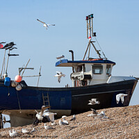 Buy canvas prints of Fishing boat high up shingle bank by Sally Wallis