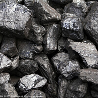 Buy canvas prints of Coal  by Sally Wallis