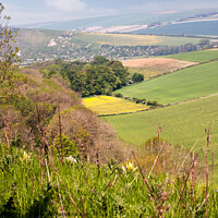 Buy canvas prints of View from Downs in Friston Forest East Sussex by Sally Wallis