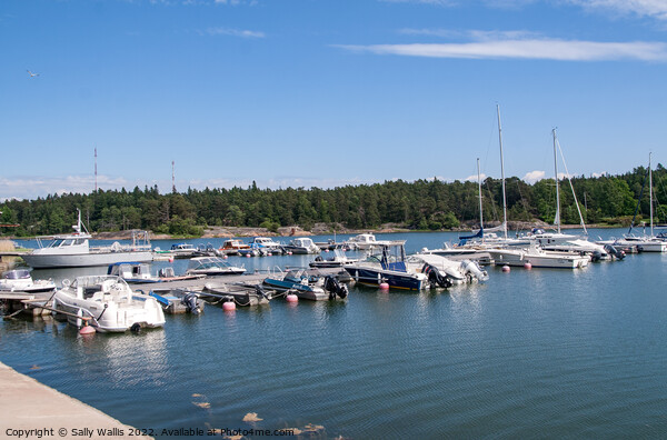 Lake Marina in Finland Picture Board by Sally Wallis