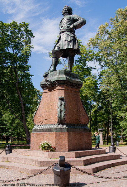 Monument to Peter The Great Picture Board by Sally Wallis