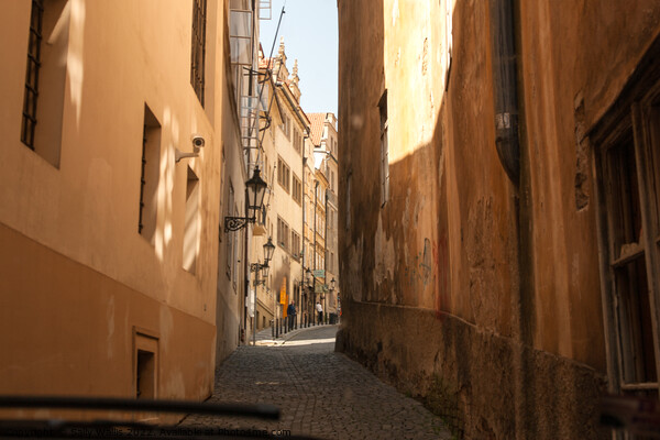 Narrow street in Prague Picture Board by Sally Wallis