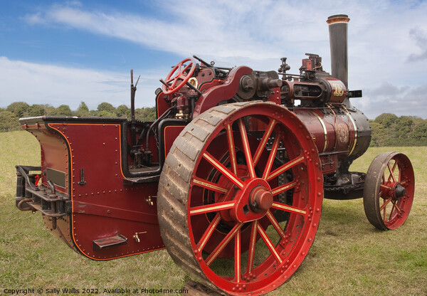 Bright and shiny steam tractor Picture Board by Sally Wallis