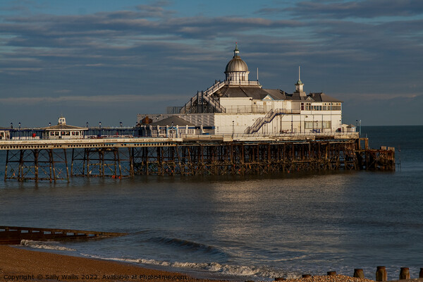 Eastbourne Pier, example of Victorian architecture Picture Board by Sally Wallis