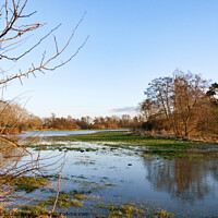 Buy canvas prints of Floods at Hellingly, East Sussex by Sally Wallis