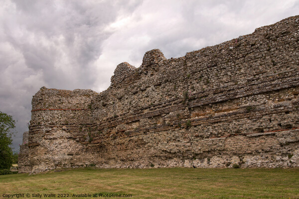Pevensey Castle Curtain Wall Picture Board by Sally Wallis