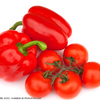 Buy canvas prints of Bellpeppers & tomatoes by Sally Wallis