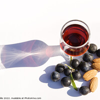 Buy canvas prints of Sloe Gin with almonds & sloes by Sally Wallis