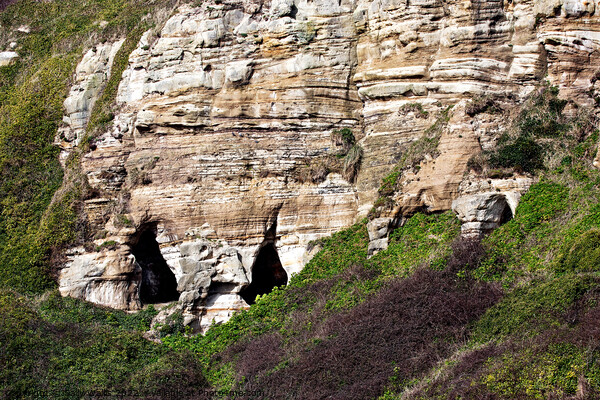 Cave entrances on East Cliff, Hastings, East Sussex Picture Board by Sally Wallis