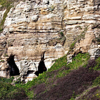 Buy canvas prints of Cave entrances on East Cliff, Hastings, East Sussex by Sally Wallis