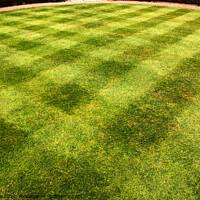 Buy canvas prints of Lawn mowed in a pattern by Sally Wallis