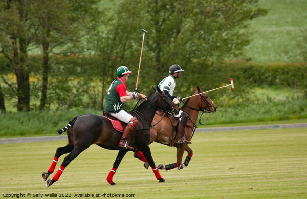 Polo match Picture Board by Sally Wallis
