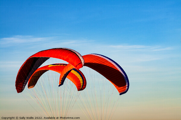 Hang Gliders Picture Board by Sally Wallis