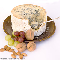 Buy canvas prints of Stilton Cheese with grapes & walnuts by Sally Wallis
