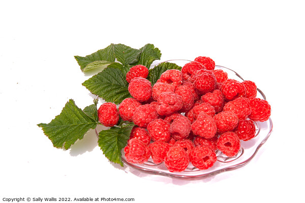 Fresh raspberries on a glass dish Picture Board by Sally Wallis