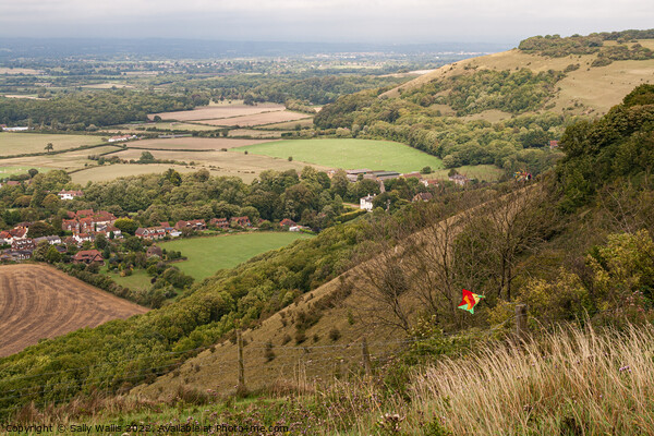 View from Devil's Dyke, East Sussex Picture Board by Sally Wallis