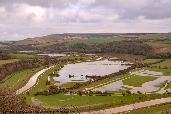Flooded Cuckmere valley Picture Board by Sally Wallis