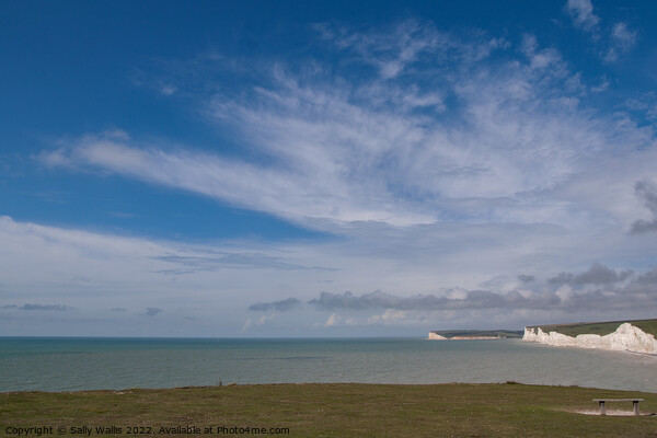 Seven Sisters at Burling Gap, Sussex Picture Board by Sally Wallis