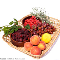 Buy canvas prints of Basket with bowls of fresh fruit by Sally Wallis