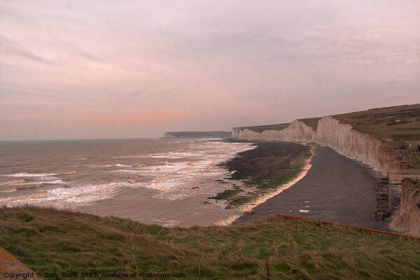Pale wintry sunset, Burling Gap Picture Board by Sally Wallis