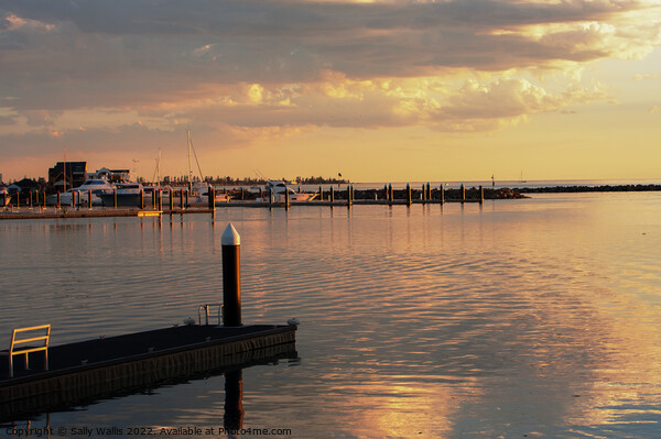 Sunset on Adelaide Yacht Harbour Picture Board by Sally Wallis