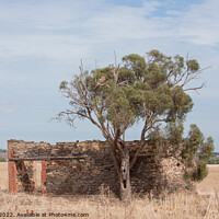 Buy canvas prints of Ruined building South Australia by Sally Wallis