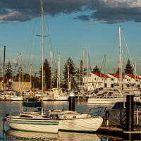 Buy canvas prints of Yacht Marina in evening light by Sally Wallis
