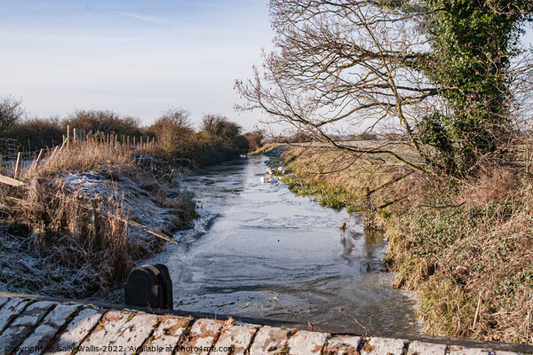 Frozen Dyke, Pevensey Marshes Picture Board by Sally Wallis