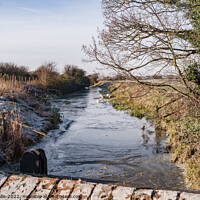 Buy canvas prints of Frozen Dyke, Pevensey Marshes by Sally Wallis