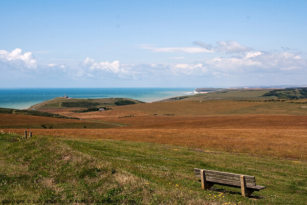View across South Downs to the English Channel Picture Board by Sally Wallis
