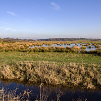 Buy canvas prints of Flooded marshland in East Sussex by Sally Wallis