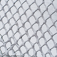 Buy canvas prints of Snow on Chain Link Fencing by Sally Wallis