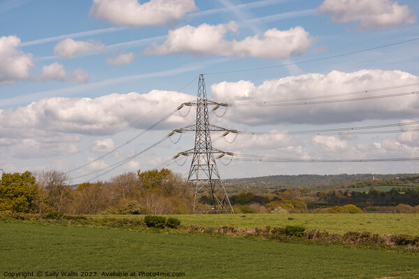 Pylon in Sussex countryside Picture Board by Sally Wallis