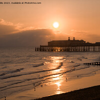 Buy canvas prints of Hastings Pier late evening by Sally Wallis