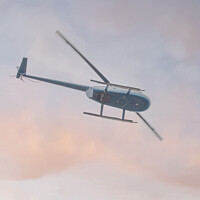 Buy canvas prints of Helicopter flying  by Sally Wallis