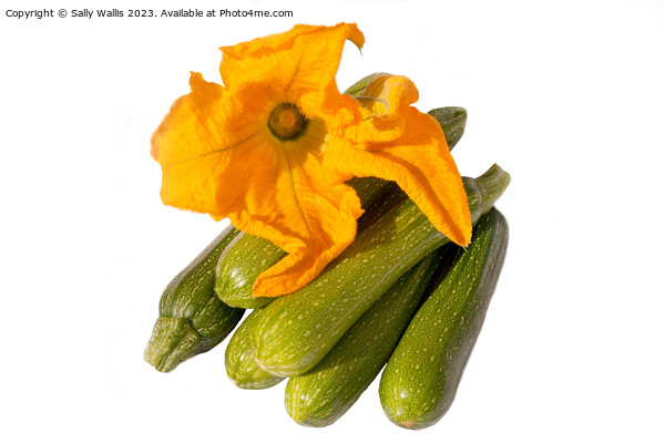 Zucchini and flower Picture Board by Sally Wallis