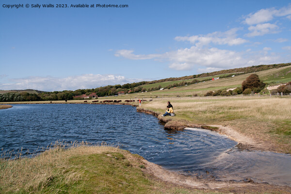 River Cuckmere at Exceat Picture Board by Sally Wallis
