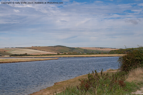 Seven Sisters Country Park - water Picture Board by Sally Wallis