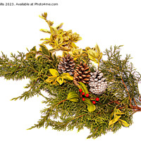 Buy canvas prints of Decoration with berries and pine-cones by Sally Wallis